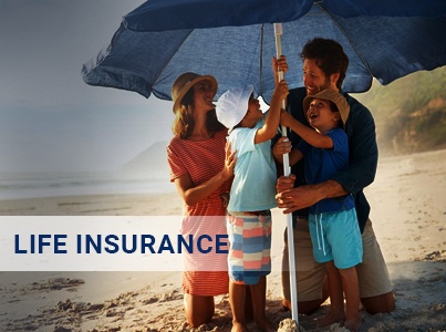 Life Insurance