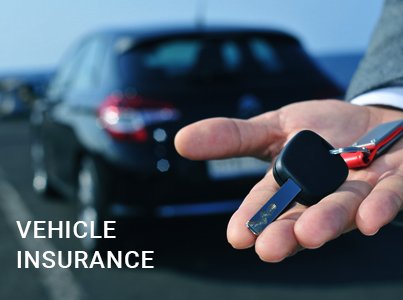 Vehicle Insurance